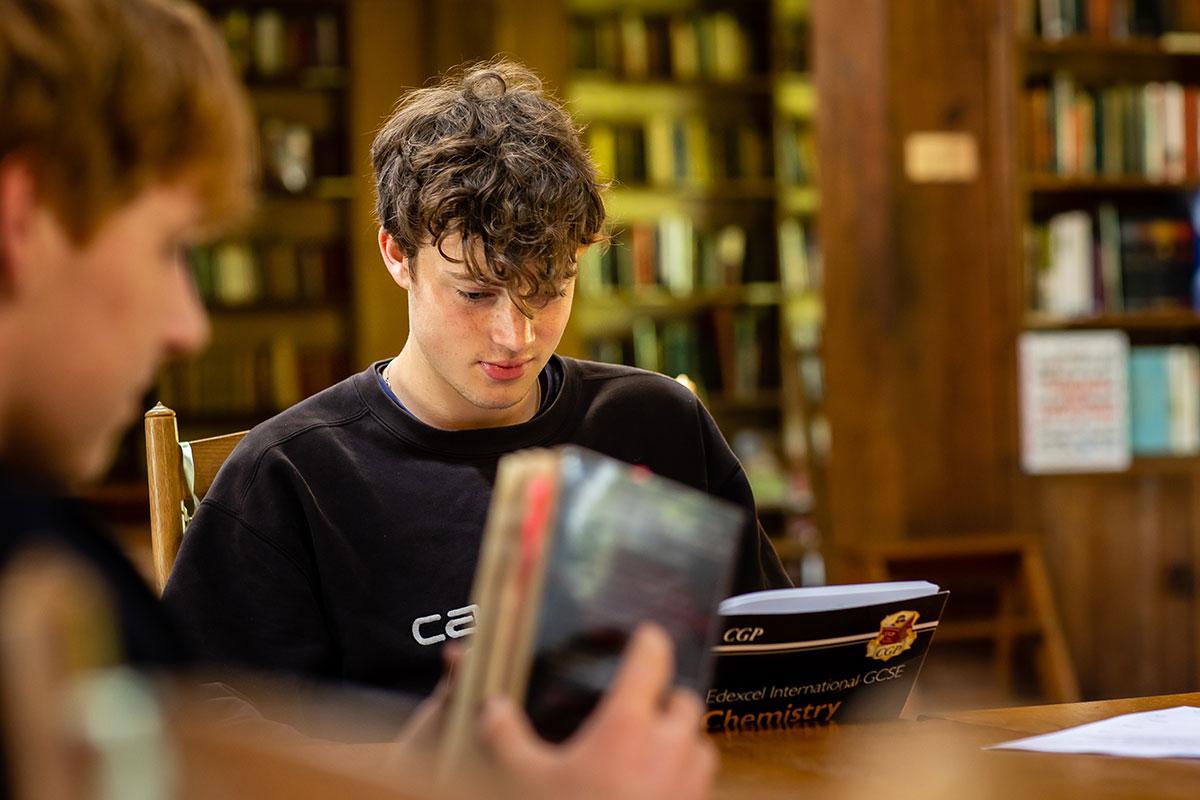 Bedales student in the library